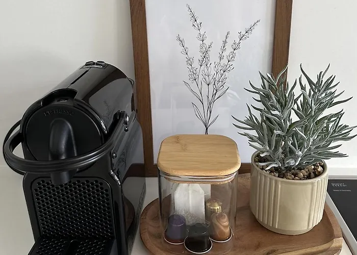 Center Stylish In Apartment *